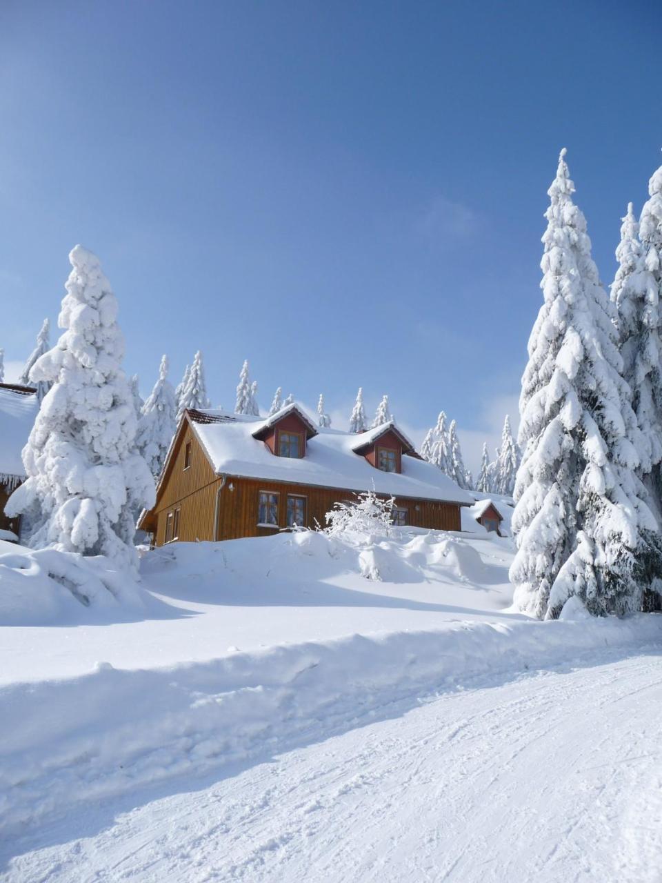 פרידריכרודה Hotel Und Berggasthof Spiessberghaus מראה חיצוני תמונה