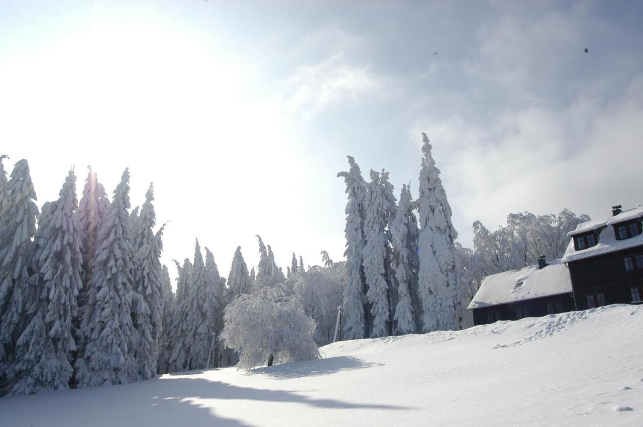 פרידריכרודה Hotel Und Berggasthof Spiessberghaus מראה חיצוני תמונה